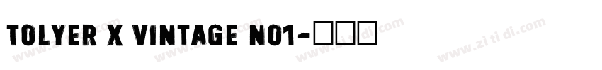 Tolyer X Vintage No1字体转换